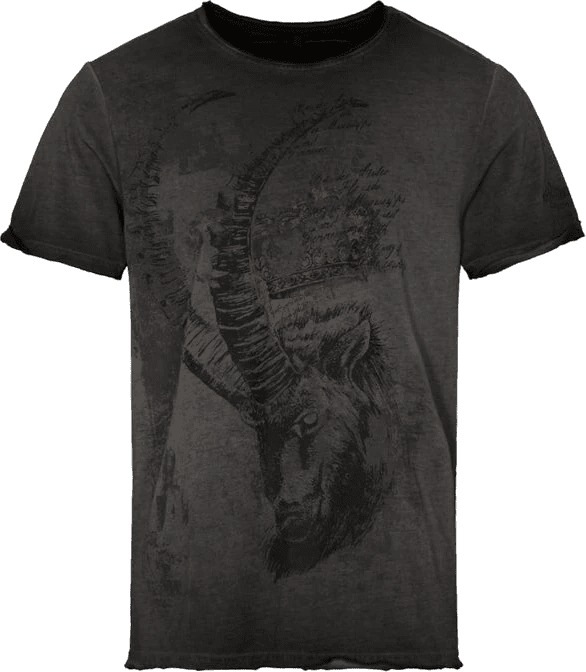 MODELL: ALMERICH - T-Shirts & Polos - Trachtenflirt