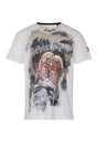 MODELL: AMADEUS