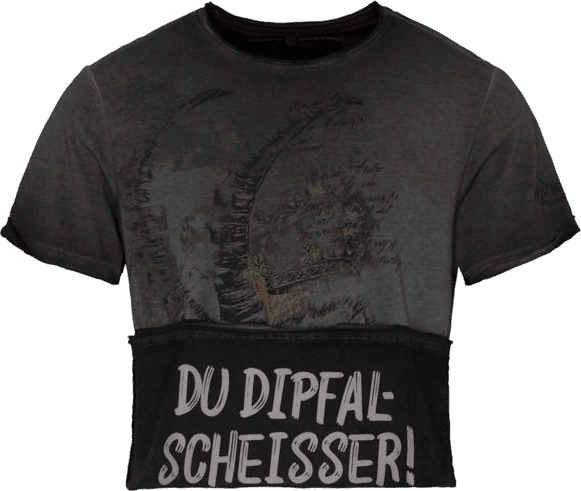 MODELL: ALMERICH - T-Shirts & Polos - Trachtenflirt