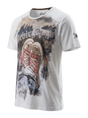 MODELL: AMADEUS